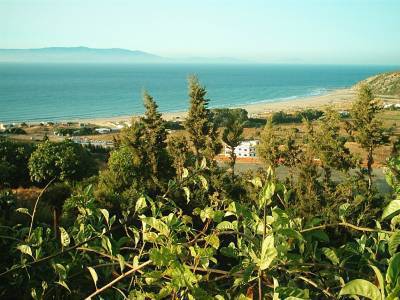 wa dalyane
